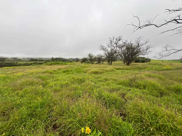 156 Ikena Kai Pl, Kula, HI 96790