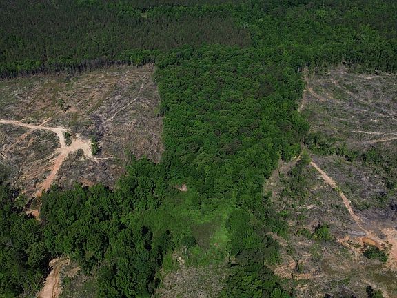 5th image of 0 Tree Farm Rd
