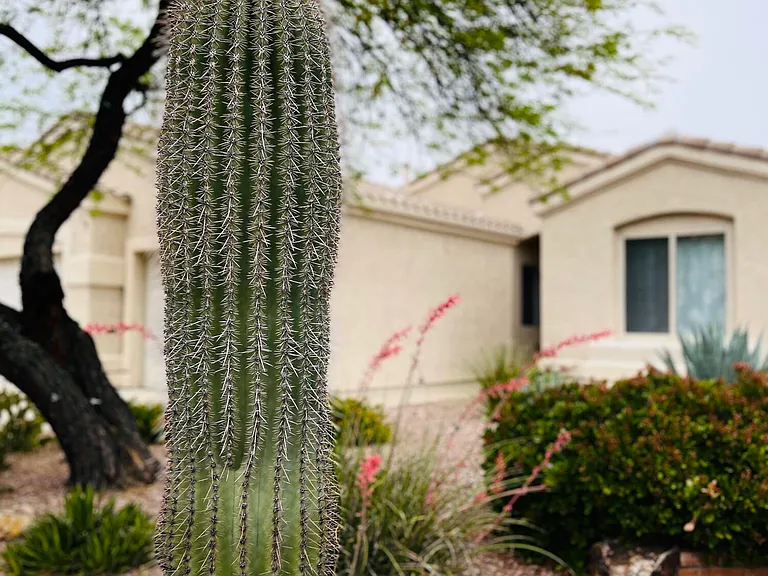 371 W Sacaton Canyon Dr — Photo 45