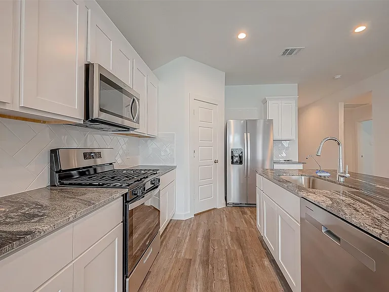 1018 Fringed Bluestar Dr — Photo 1
