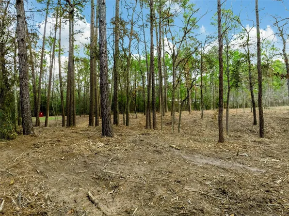 LOT 11 Mayhaw Ln Lot 11, Plantersville, TX 77363