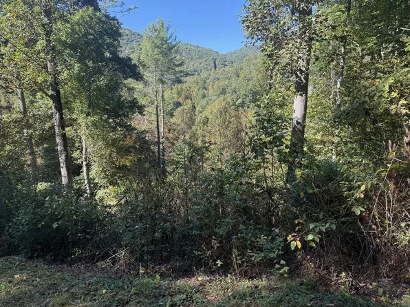 5 Trimont Lake Rd, Franklin, NC 28734
