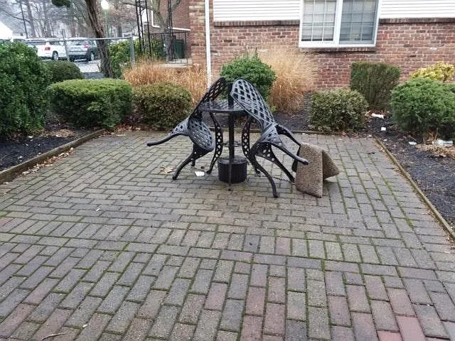 Patio Area
