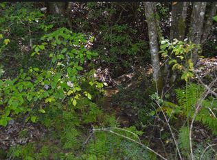 1 Willow Way #7A, Warne, NC 28909