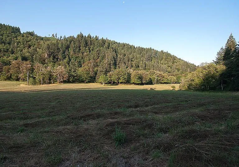 561 Paradise Creek Rd — Photo 20