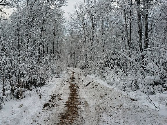 Road to back of property