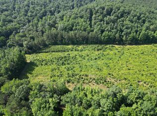 0 Brushy Rd, Centerville, TN 37033