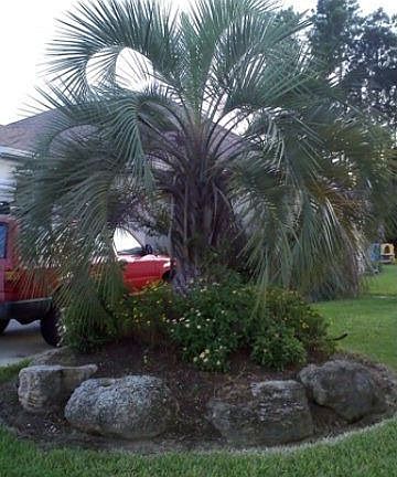 3rd image of 20 Lakeside Pl W