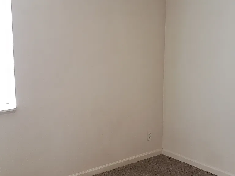 805 Timber Buck Ct — Photo 10
