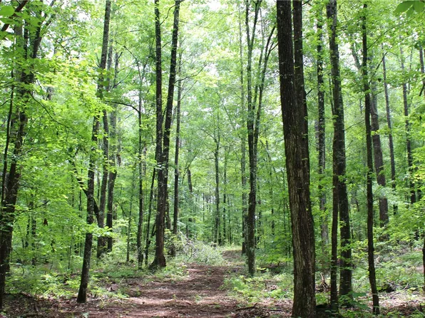 (undisclosed Address), Goodwater, AL 35072