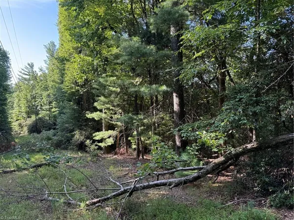 0 Timber Ridge Rd, Millers Creek, NC 28651