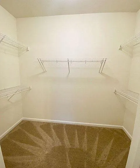 Clairmont at Jolliff Landing — Photo 33