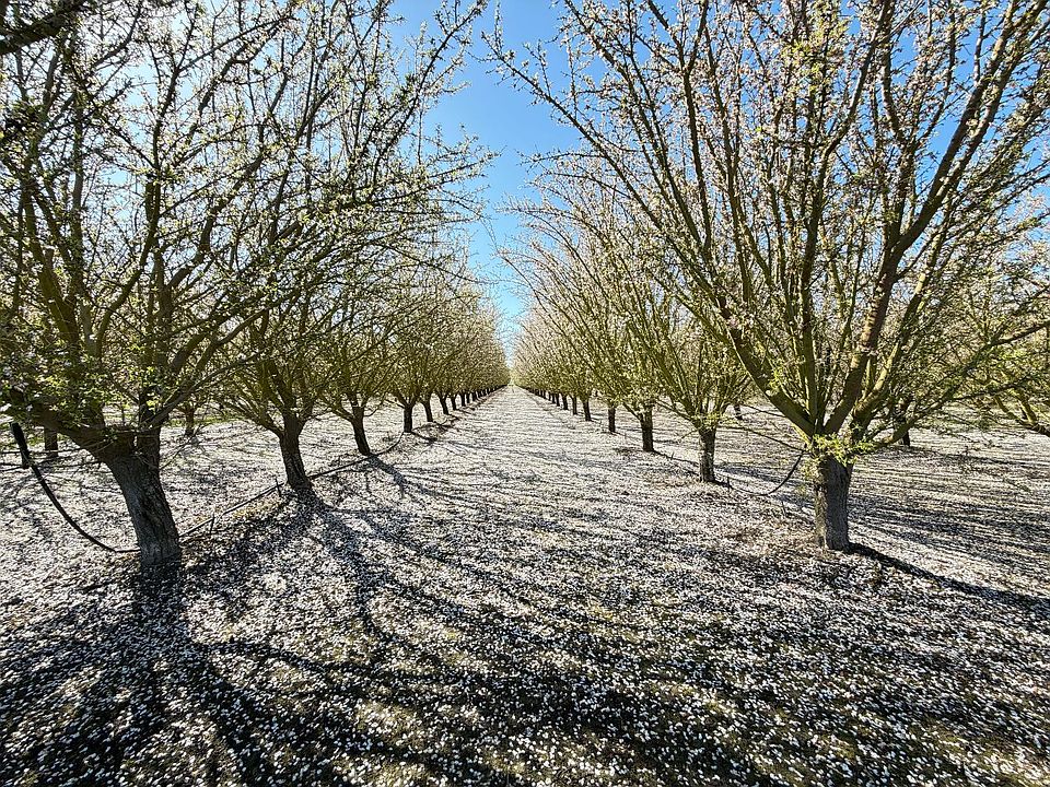 1st image of 7520 W Howard Rd