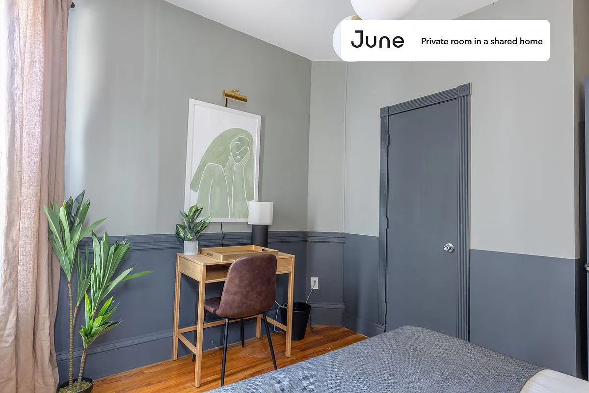 Queen bedroom in 4 bed/1 bath home in JFK/UMass #352 D — Photo 3