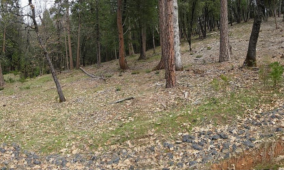 1st image of 6 S Forest Rd