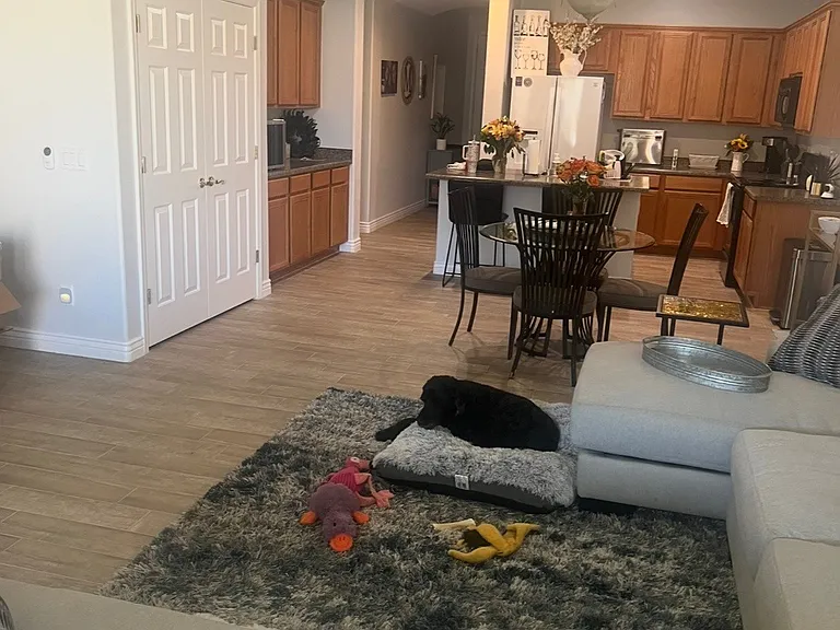 W Desert Mirage Dr — Photo 6