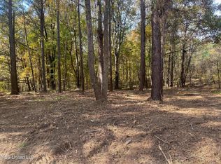 0 Dollie Irene Dr #41, Holly Springs, MS 38635