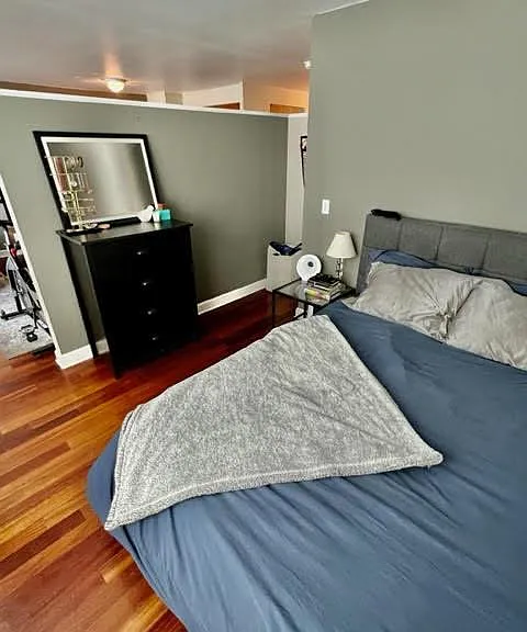 1255 N Sandburg Ter #1008 — Photo 6