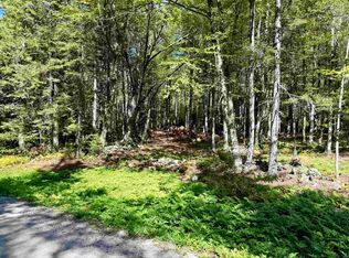 38 Cross Rd, West Townshend, VT 05359