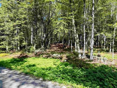 38 Cross Road LOT, West Townshend, VT, 05359