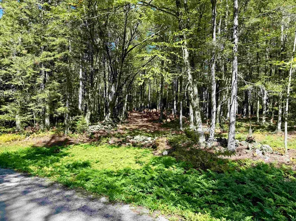 38 Cross Road LOT, Windham, VT 05359
