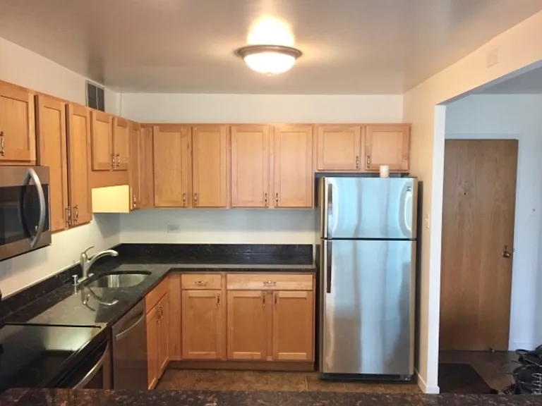 211 E Ohio St #2113 — Photo 11