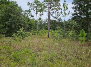 919 NE 148th Ct LOT 24, Williston, FL 32696