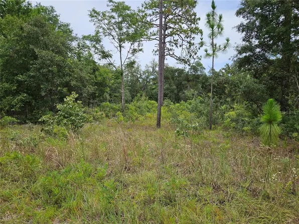 919 NE 148th Ct Lot 24, Williston, FL 32696