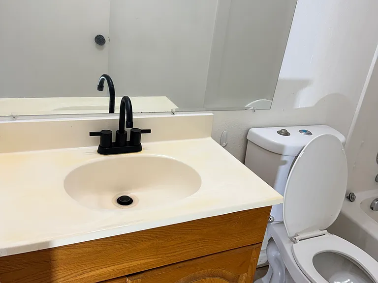 new sink faucet