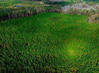 0 McDonald Rd TRACT 6, Sylvania, GA 30467