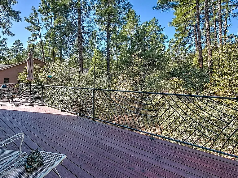 1621 Spruce Canyon Dr — Photo 4