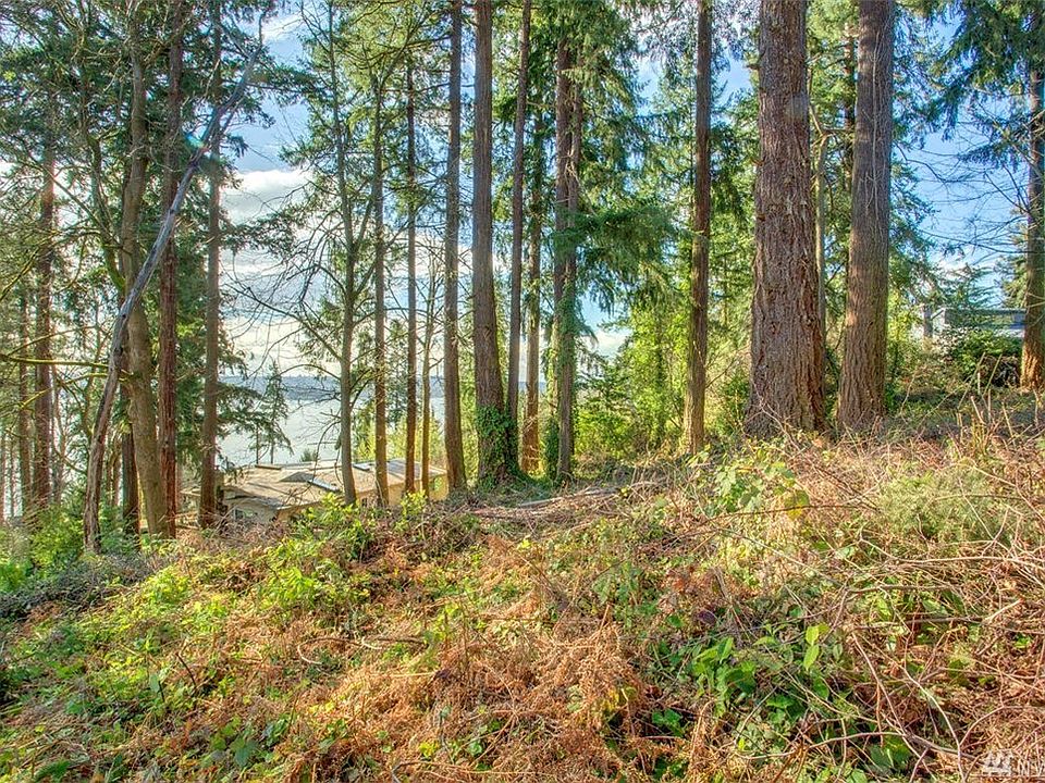 Property has been cleared for easy viewing access. Welcome!