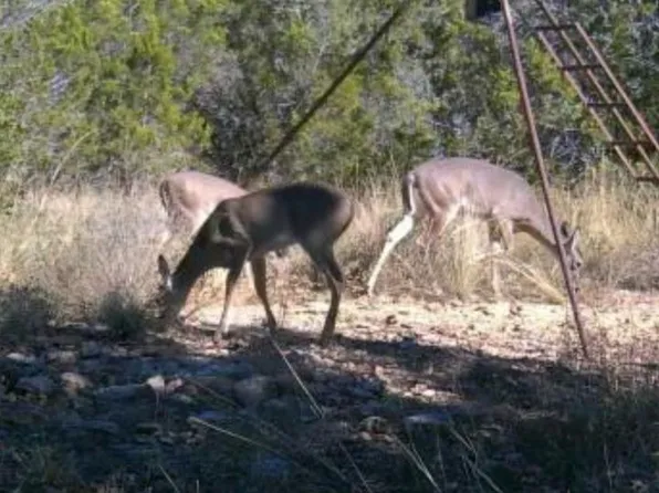 235 Private Road 235 Lot 2, Hondo, TX 78861