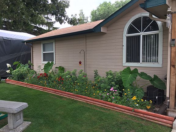 All the pretty flowers