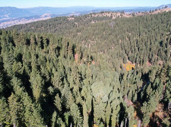 Upper Charlotte Gulch Rd #382C, Idaho City, ID 83631