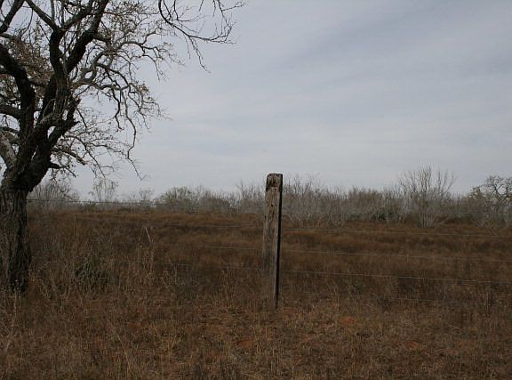5th image of 7003 County Road 401