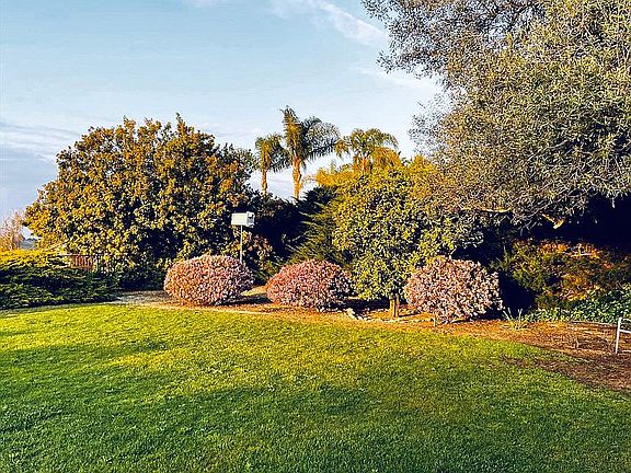 view of 1/2 yard w Owl Box. 