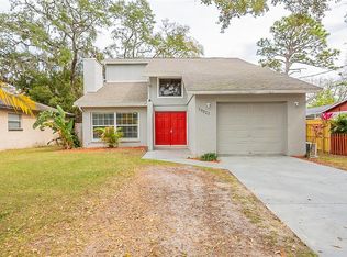 10221 N Oklawaha Ave, Tampa, FL 33617