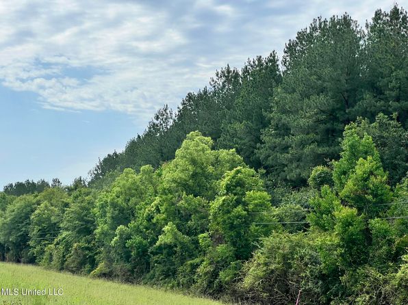 0 Highway 28, Mize, MS 39116