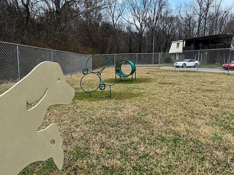Spring Lake Cove Apartments — Photo 31
