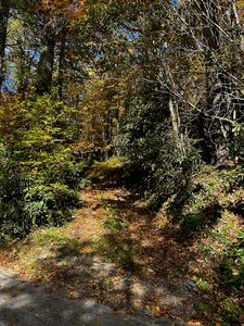 TBD Foreman Road, Highlands, NC, 28741