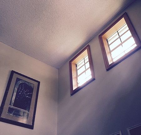 Volted Ceilings with Boxed in Windows