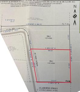 LOT 2B One Claiborne St, Springfield, LA, 70462