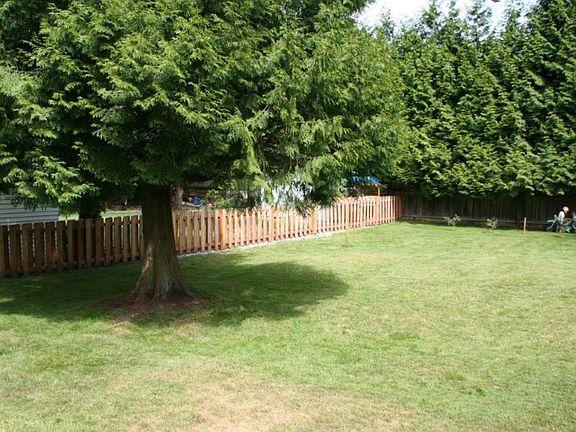 70x120 flat lot with mature cedar trees