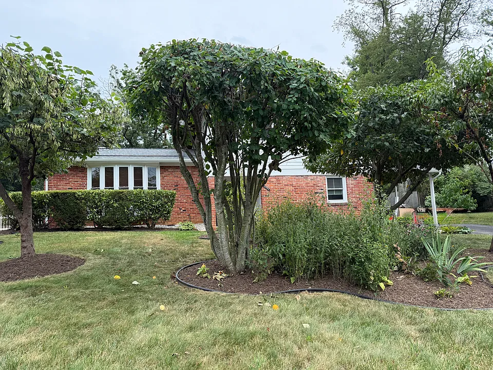 3921 Forest Grove Dr