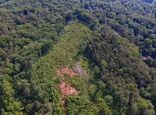 1513 Craigtown Rd #2, Ellijay, GA 30540