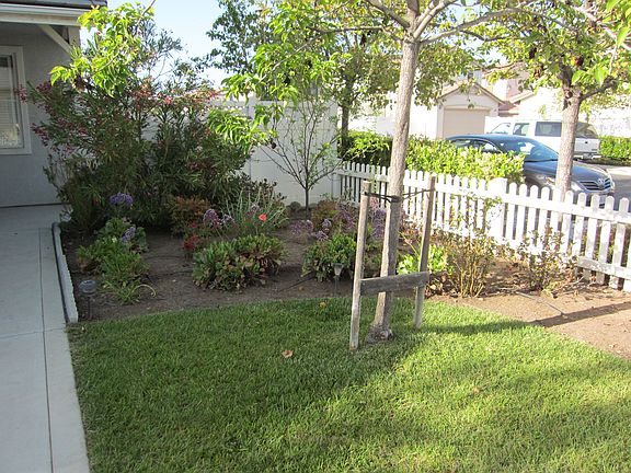 Gorgeous flower garden