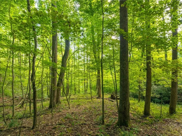TBD Wasatch Drive, Boone, NC 28607