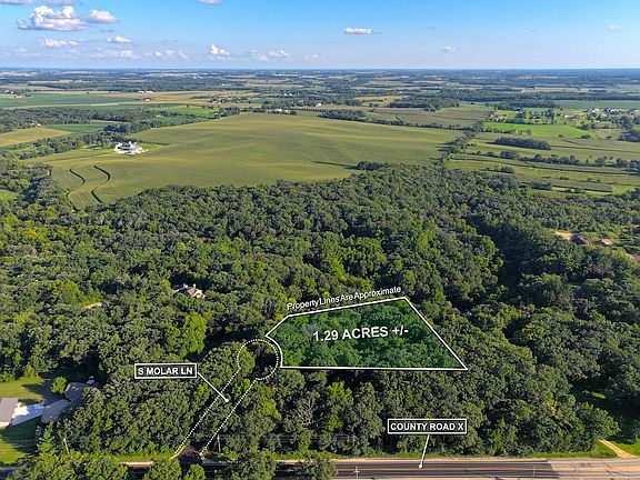 4th image of S Molar Ln