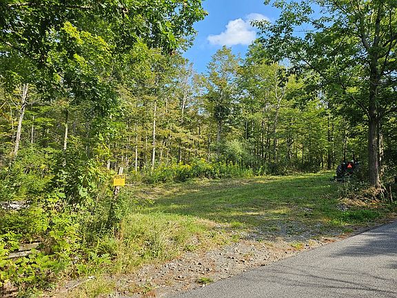 676 Steege Hill Rd, Big Flats, NY 14814 | MLS #271575 | Zillow